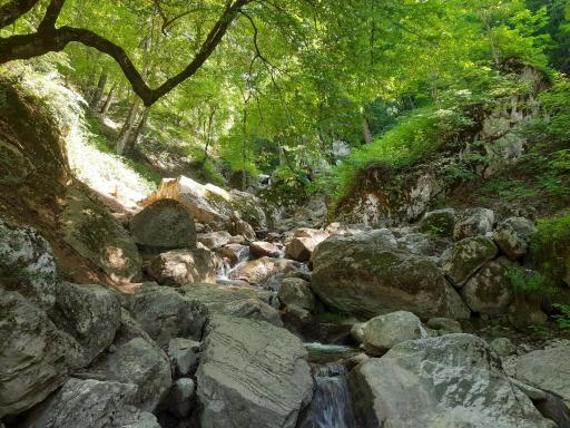 عکس آبشار پشمکی