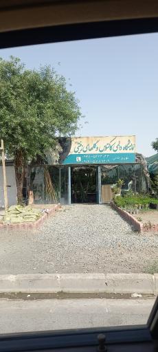 عکس نمایشگاه گل های زینتی 