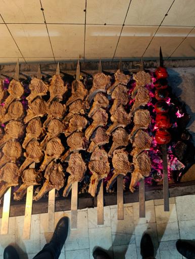 عکس شیشلیک پارس شاندیز