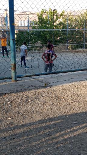 عکس زمین والیبال