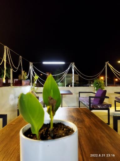 عکس کافه تک بام