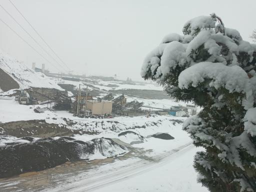 عکس شرکت ماسه شو