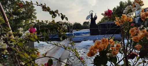 عکس پرورش ماهی خسروی