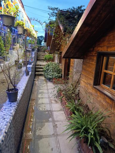 عکس کافه رستوران میر عماد