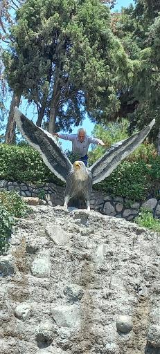 عکس پارک سردار جنگل (آبشار)