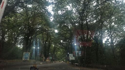 پارک جنگلی شهید زارع