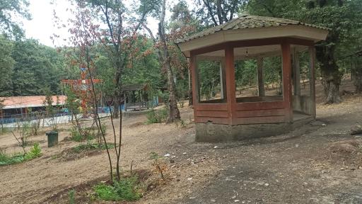 پارک جنگلی شهید زارع