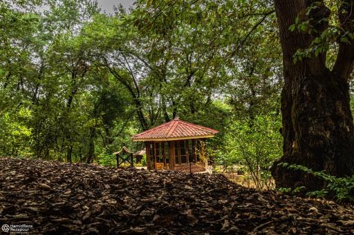 عکس پارک جنگلی شهید زارع