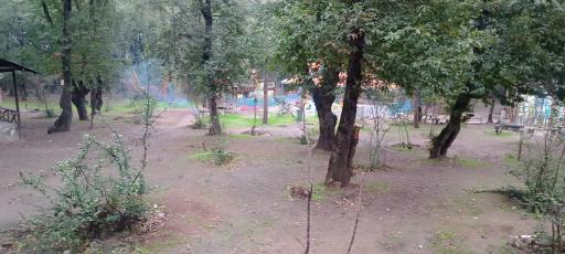 عکس پارک جنگلی شهید زارع