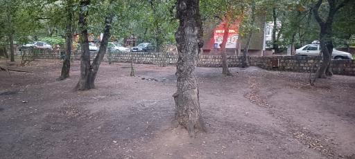 عکس پارک جنگلی شهید زارع
