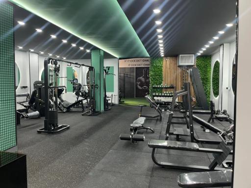 عکس آکادمی ورزشی محمودی 