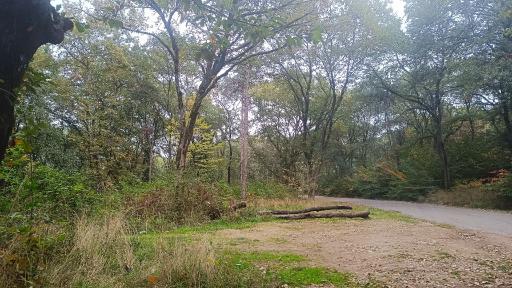 عکس پارک جنگلی شهید زارع