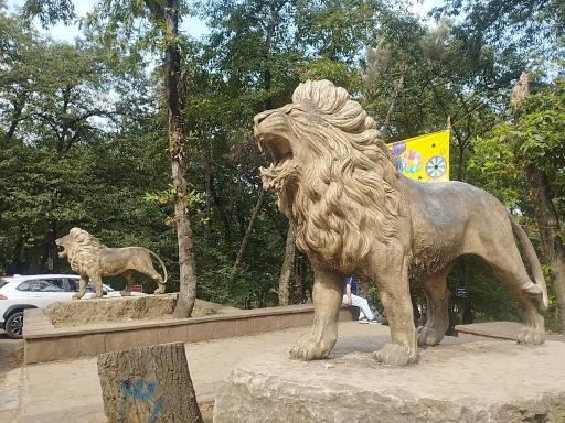 عکس پارک جنگلی شهید زارع