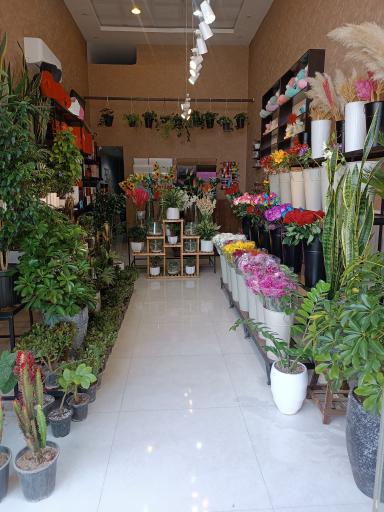 عکس گل فروشی شکوفه