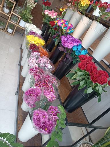 عکس گل فروشی شکوفه