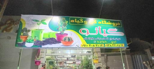 فرویشگاه گل و گیاه گیانو