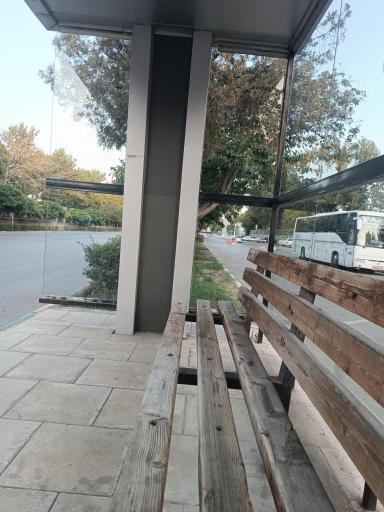 عکس  نوفل لوشاتو 2