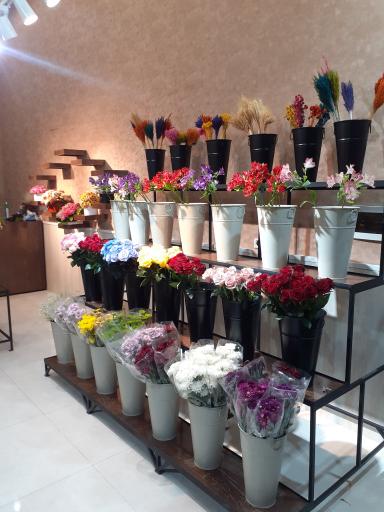 عکس گل فروشی شکوفه