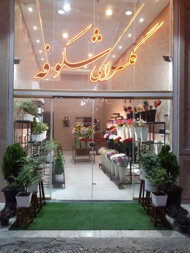 عکس گل فروشی شکوفه