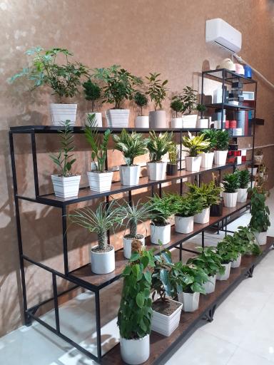 عکس گل فروشی شکوفه