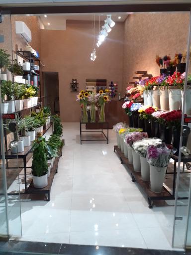 عکس گل فروشی شکوفه