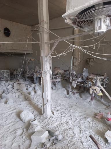 عکس دیزی تراشی فیضی