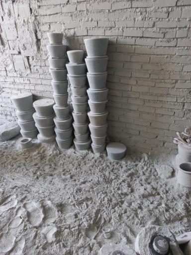 عکس دیزی تراشی فیضی