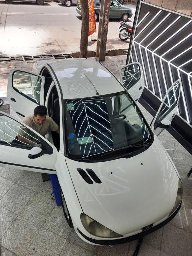 عکس کارشناسی و تشخیص رنگ و فنی خودرو تاج