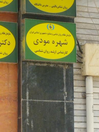 عکس دکتر شهره مودی روانشناس