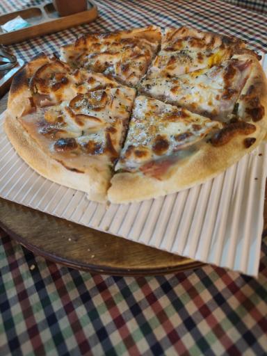 عکس پیتزا پلارا