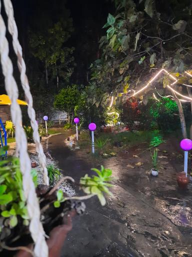 عکس باغ رستوران ژان