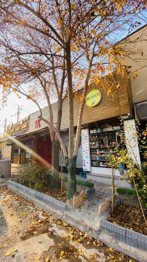 عکس محمد مارکت 