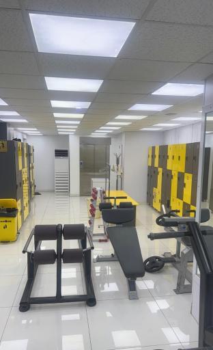 عکس باشگاه پالادیوم