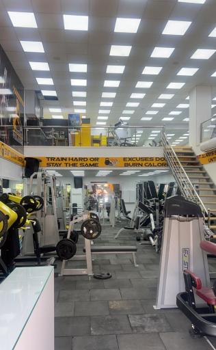 عکس باشگاه پالادیوم