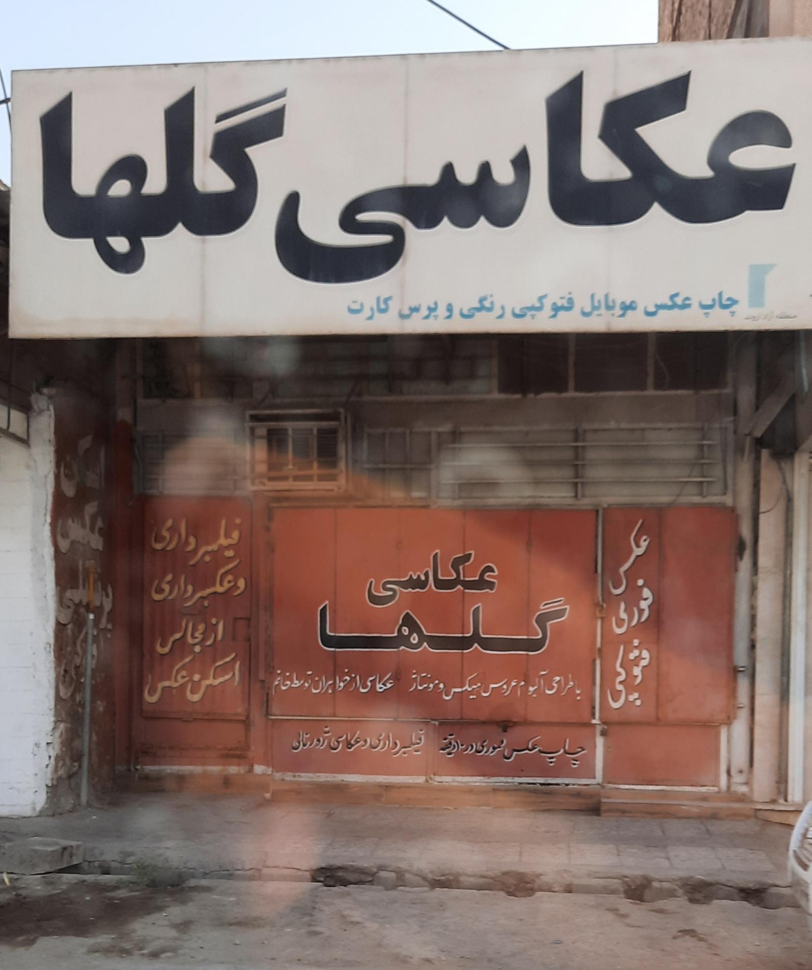 عکس عکاسی گلها