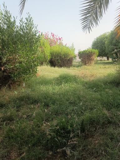 عکس پارک شهید بهشتی