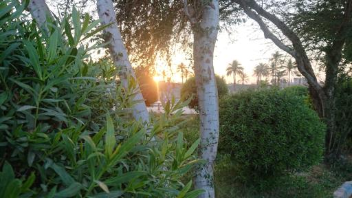 عکس پارک شهید بهشتی