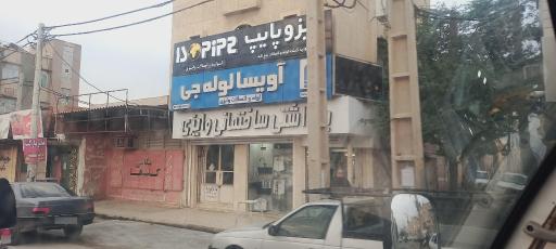 عکس عکاسی گلها