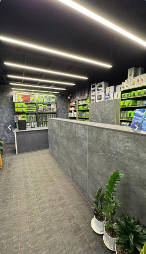 عکس اورایمو ایران