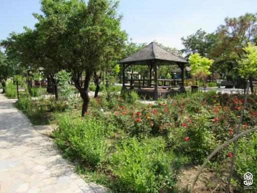 عکس اردوگاه فرهنگی امیرالمومنین