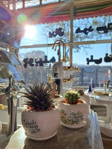 عکس تجهیزات کابینت چوبینه