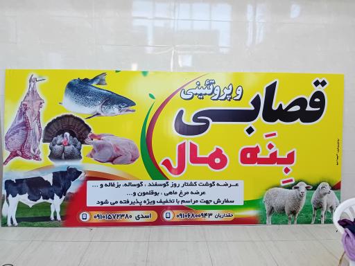 عکس قصابی و پروتئینی بنه مال