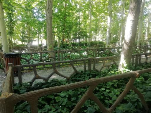 عکس پارک جنگلی بهمن