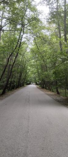 عکس ایزدشهر