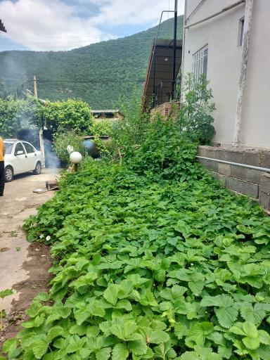 عکس فیروزآباد