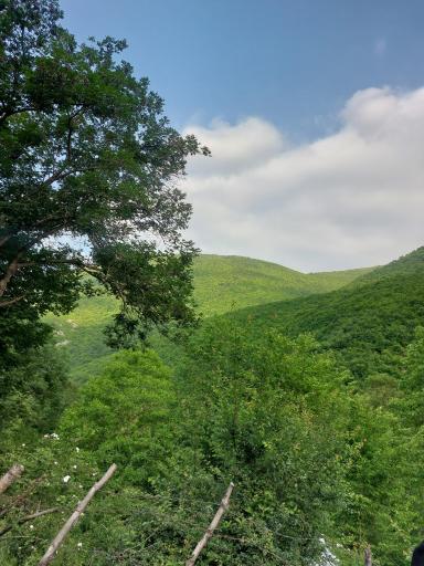 عکس فیروزآباد