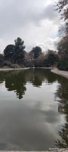 عکس جنگل های هیرکانی