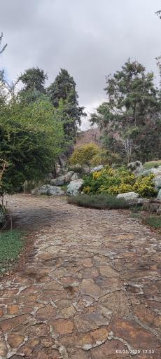 عکس جنگل های هیرکانی