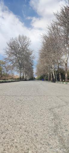 جنگل های هیرکانی