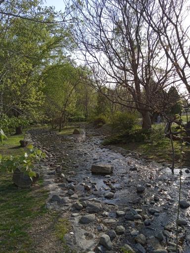 عکس جنگل های هیرکانی